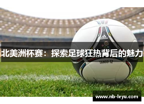 北美洲杯赛：探索足球狂热背后的魅力