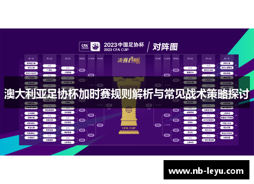 澳大利亚足协杯加时赛规则解析与常见战术策略探讨