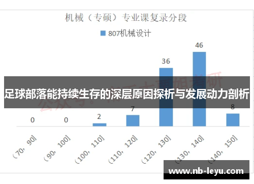 足球部落能持续生存的深层原因探析与发展动力剖析